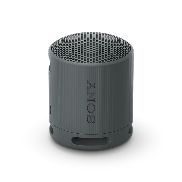 Sony SRS-XB100 Portable Wireless Speaker